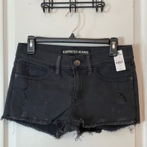 Black Express Shorts NWT
